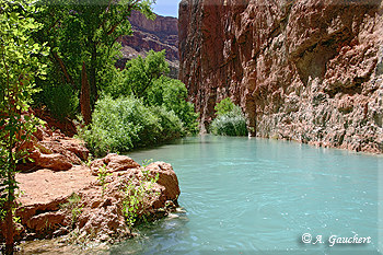 Havasu Creek